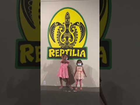 Reptilia