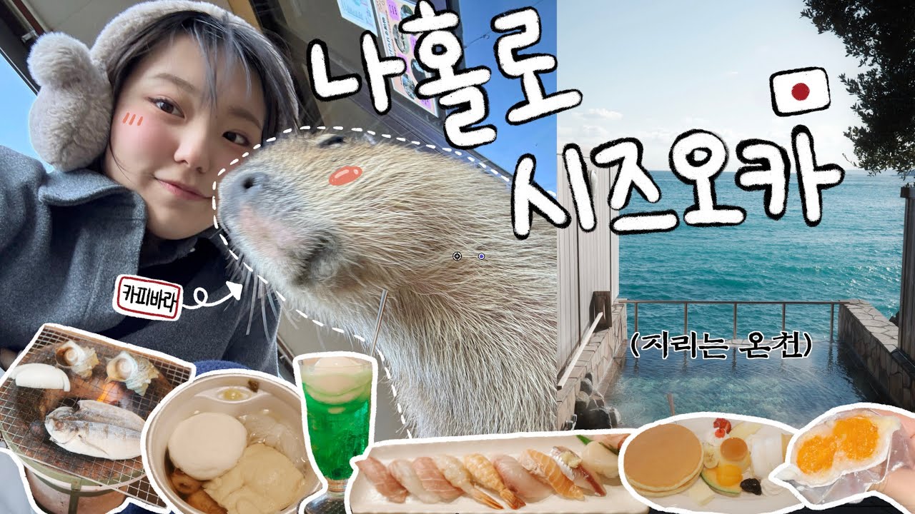 일본은 역시 소도시!!! 모든게 완벽한 시즈오카 3박4일 여행🇯🇵