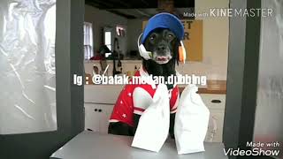 Beberapa Lawakan batak Paling Lucu.   Jan lupa like and Subscribe