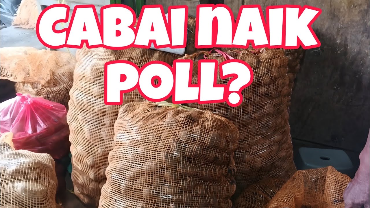 update harga terbaru pasar grosir ngronggo kota kediri (16/02/26)