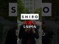 SHIROが大炎上しながらも、売上1.5倍にできたワケとは!? #willfu #ウィルフ #黒石健太郎 #shorts #SHIRO #スキンケア #マーケティング #ブランド #戦略