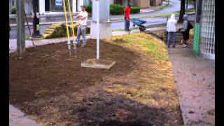 Carex Design Group Beautification Mob Keep Knoxville Beautiful 051014