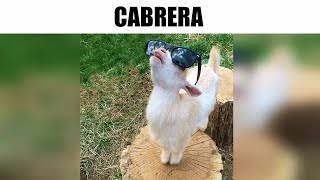 MEMES MUY XD #171