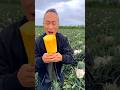 Pineapple juice fresh eating / landscape pineapple garden #fruit #viral #pineapple #shorts
