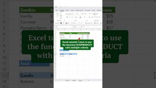 Excel Tutorial: Learn to use the SUMPRODUCT function with 2 criteria #excelfunctions