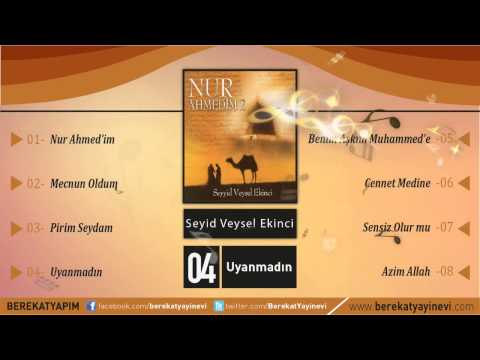 Seyyid Veysel Ekinci - Uyanmadın