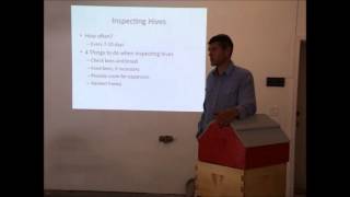 Q&A: How often do we need to inspect our hives?