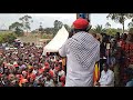 AMASASI GANYOOSE E KOMAMBOGA AMASASI GANYOOSE E KOMAMBOGA