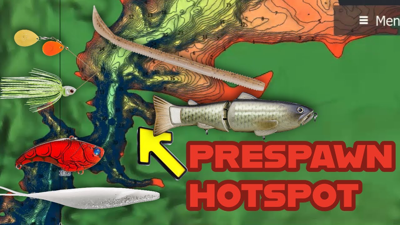 Лучшие приманки на февраль (приманки для ловли окуня перед нерестом)