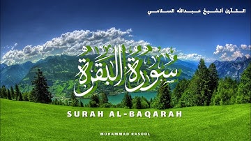 القرآن الكريم - سورة البقرة الصفحة ٣٠ من الآية ١٩١ إلى ١٩٦ - ألشيخ عبدالله السلامي