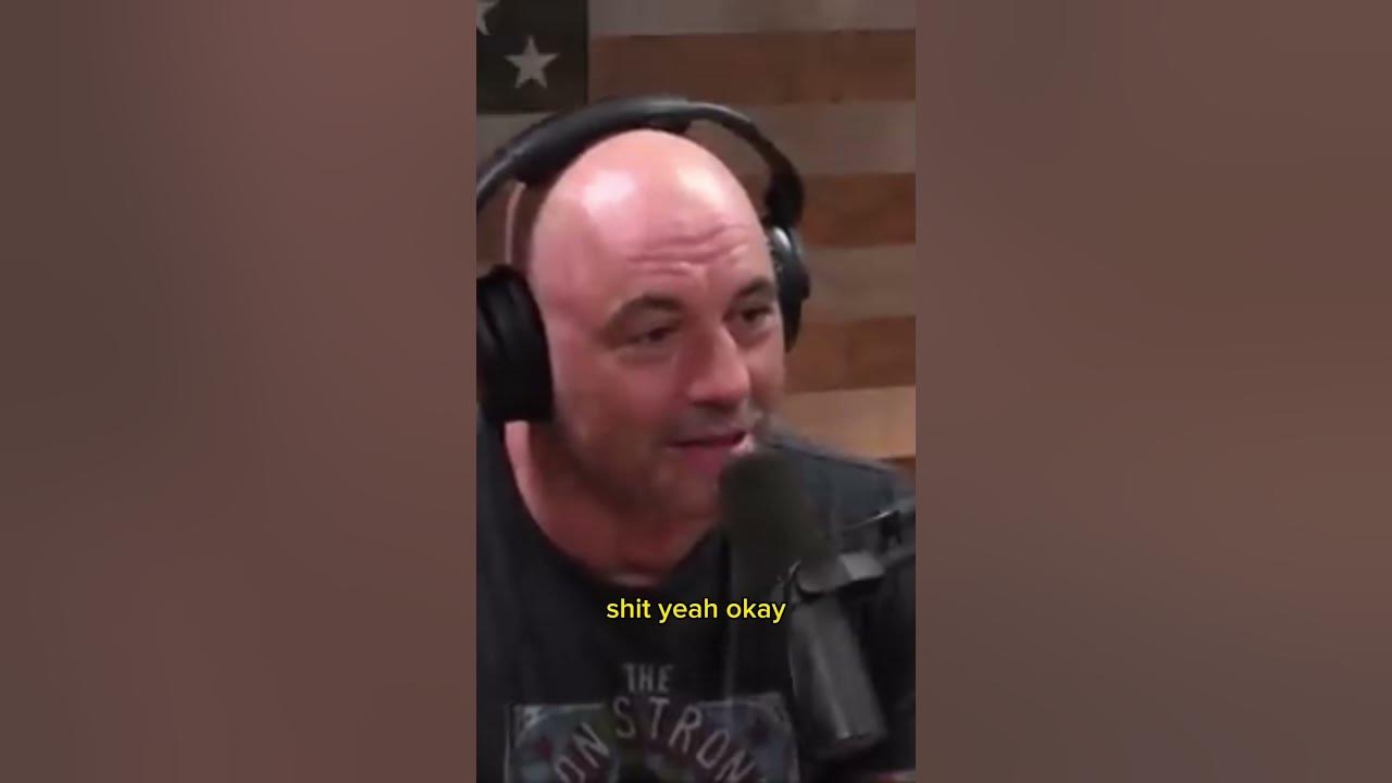 Joe Rogan & Herb Dean talk about the Askren/Lawler fight stoppage 