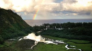 Big Island Hawaii in 4K - Turtles, Free Diving, Hiking and Sunsets