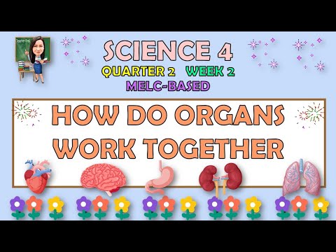 SCIENCE 4 || QUARTER 2 WEEK 2 | HOW DO ORGANS WORK TOGETHER | MELC-BASED