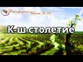 Кишмыш столетие