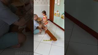Brincando E Aprendendo