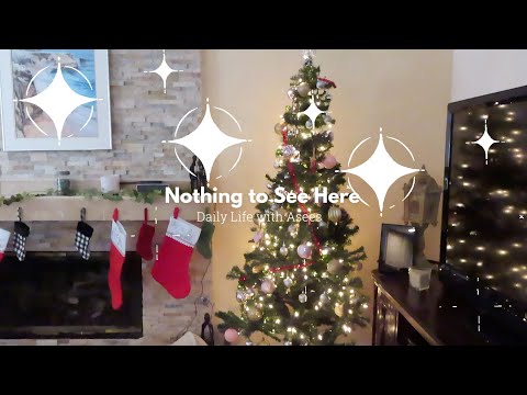 [VLOG] Nothing to See Here Ep. 3 - Home for the Holidays | Brunch | High Tea | San Diego!