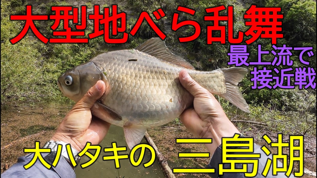 三島湖・夫婦第一柳 へら鮒釣り 2026年5月 - YouTube