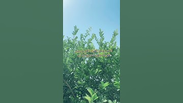 اللهم أجعل القرآن الكريم ربيع قلوبنا ونور صدورنا💗🥺