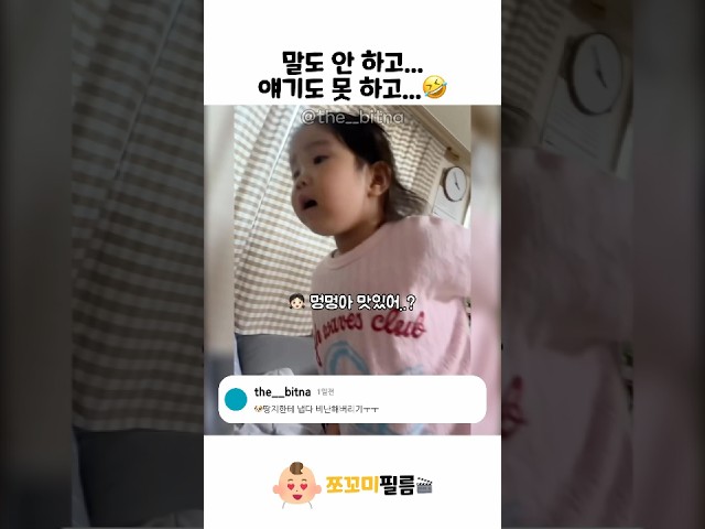강아지야 맛있게먹어~????