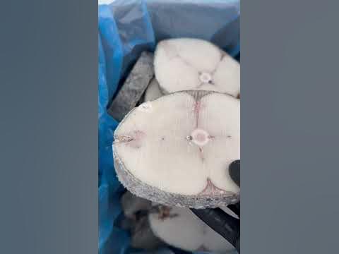 Эсколар, масляная рыба мелким оптом с доставкой в любой регион РФ ...