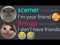 When beluga meets scemer