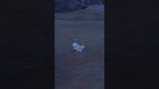 Shiny Hunting Every Pokemon in Pokedex Order 9/1025 The Squirtle Line!