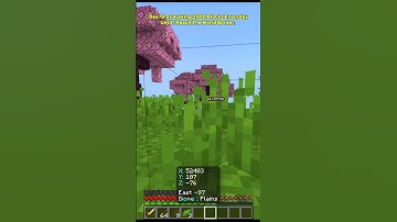 Day 12 of walking 2000 Blocks Every day until I reach the World Border. #minecraft #gaming #shorts