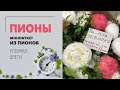 Пионы | Букет из пионов | Секрет популярности