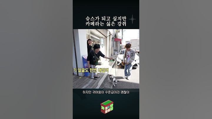 동네 강아지한테 인사하는 파워 E (덕분에 좋은 구경합니다)