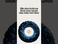 The Oort Cloud Fact Nobody Knows | SpaceBlobs