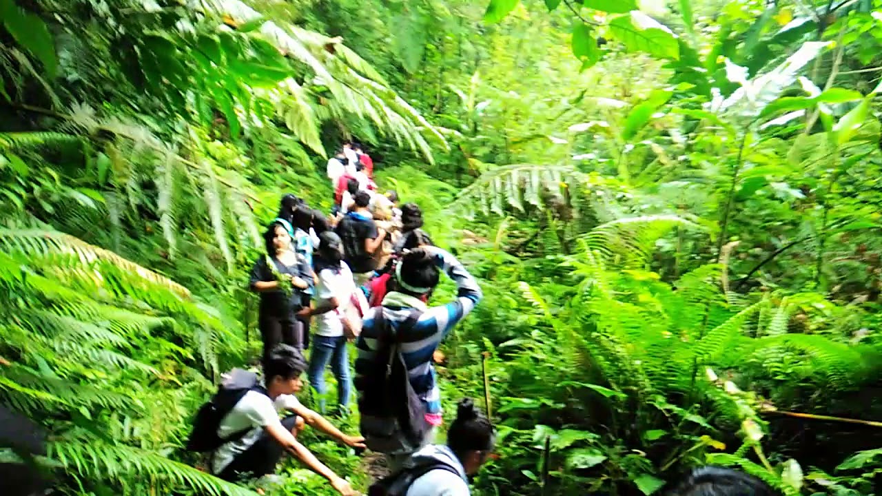 The ECOsystem Spaceborne Thermal Radiometer Experiment on Space Station (ECOSTRESS)