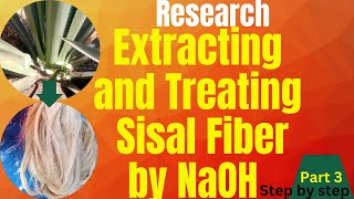 #3: Extracting and treating sisal