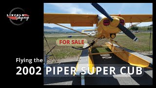 Match Highlights 2002 Piper Super Cub - Flight Review