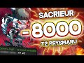 -8000 T2 ?! SACRIEUR INVISIBLE PRYSMARU SUR DOFUS