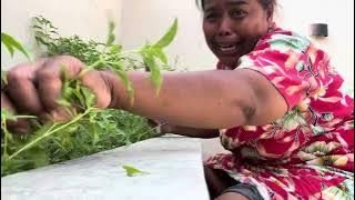 NGERAMPOK BANDANE DIMAS ZAENAL TAK NGGO TUKU TEMPE HAHAHA🤪🤣🔥