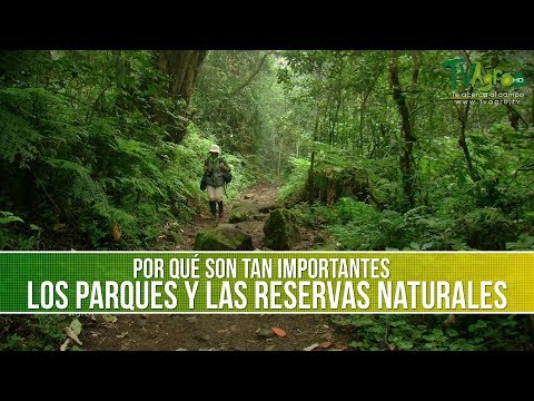 Vídeo: Què és Una Reserva Natural?