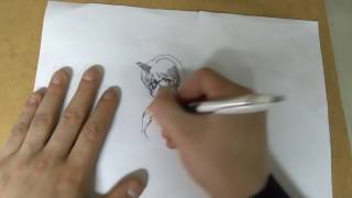 Holder Test