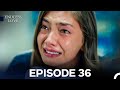 Endless Love Episode 36 
