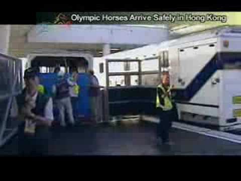 Olympic Equine Athletes enjoy travelling First-Class