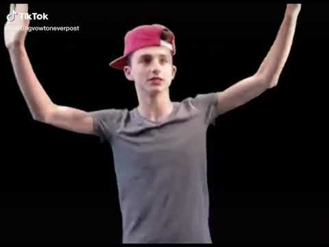 Timtothee chalamet (statistics