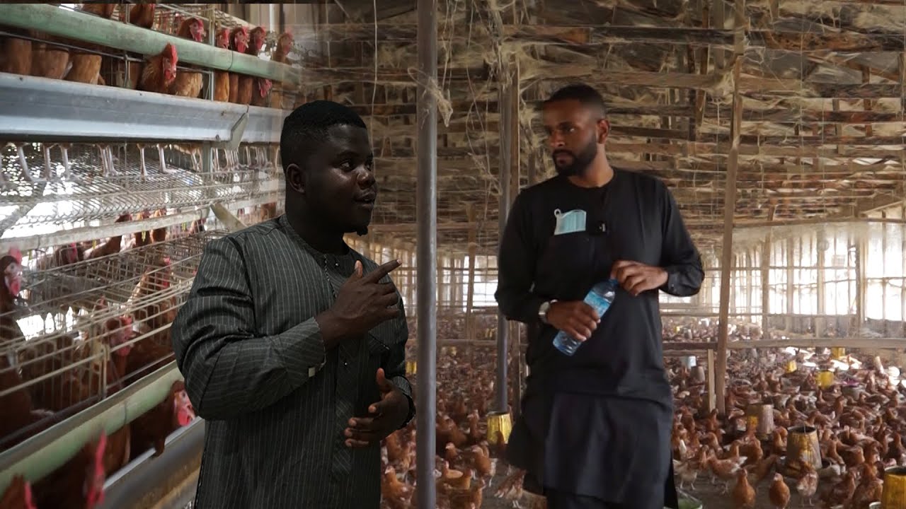 Sudanese Left The Uk To Be A Poultry Farmer In Northern Nigeria