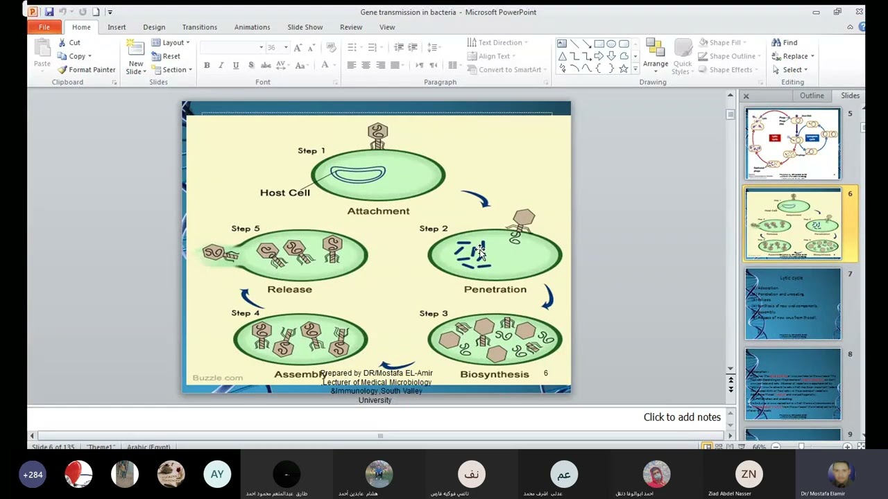  Introduction to Microbiology Part 5 Dr. Mustafa Ismail Gene transmission in bacteria transformation