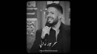 محمد حماقي لا ملامه مع صاحبة السعاده #صاحبة_السعادة #محمد_حماقى