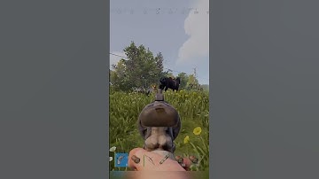 How to Get LOADED in Rust. #pvp