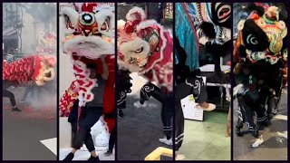 The 5 Deadly Lion Dance Styles