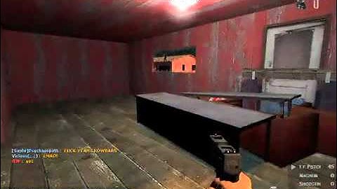 Zombie Panic:Source　【Zombie】　video