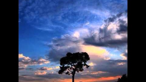 سورة النساء