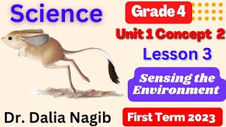 Sensing The Environment Grade 4 Science | Concept 2 Lesson 3 | ساينس رابعة ابتدائي المنهج الجديد