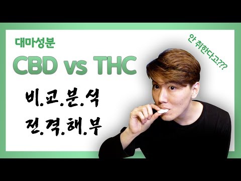 대마성분 CBD vs THC 전격비교 왜 CBD가 널리 보급되어야 하는가 Reason why CBD has to be widely used in Korea