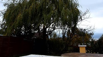 KK2.0 self level FW1.4 on locust frame